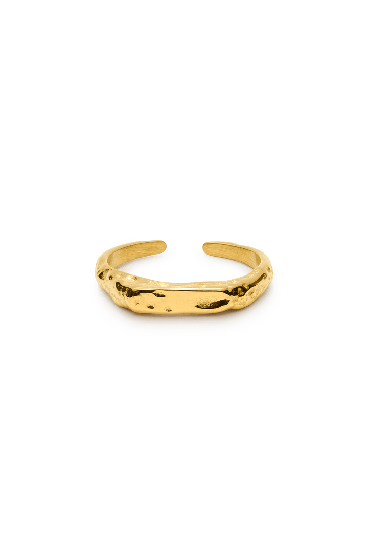 signe ring-6-monateo