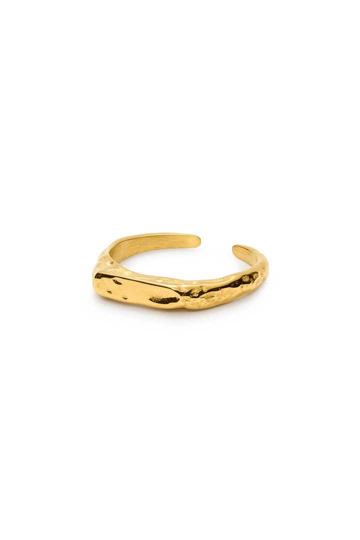 signe ring