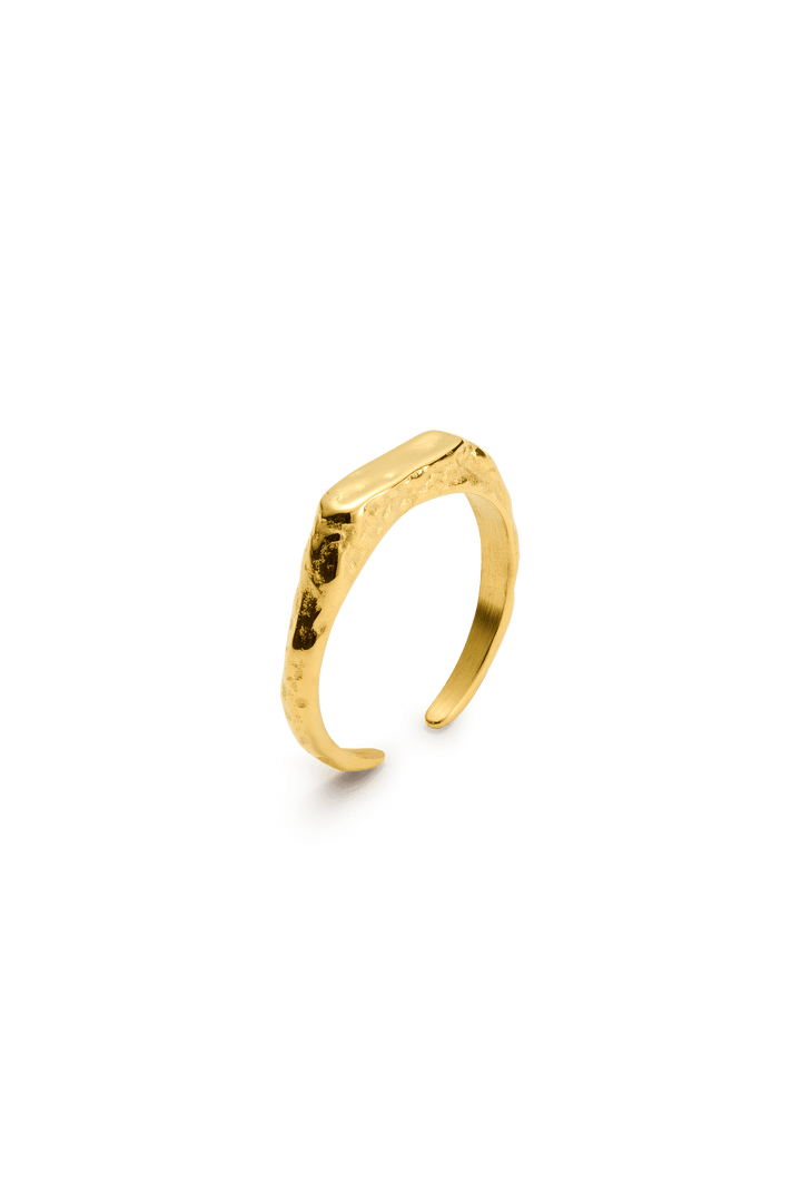 signe ring